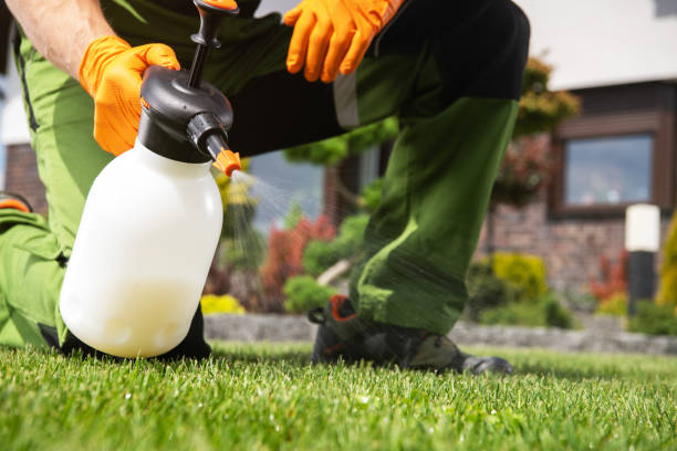 Best Commercial Pest Control Services  in Ecru, MS