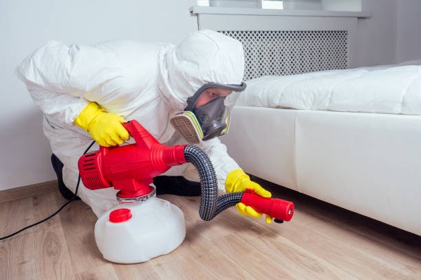 Best Exterminator Services  in Ecru, MS