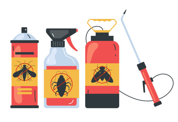 Best Ant Control Services  in Ecru, MS